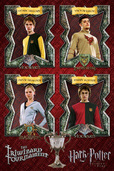 plakaty-full-harry-potter-4-triwizard-tournament-3060.jpg